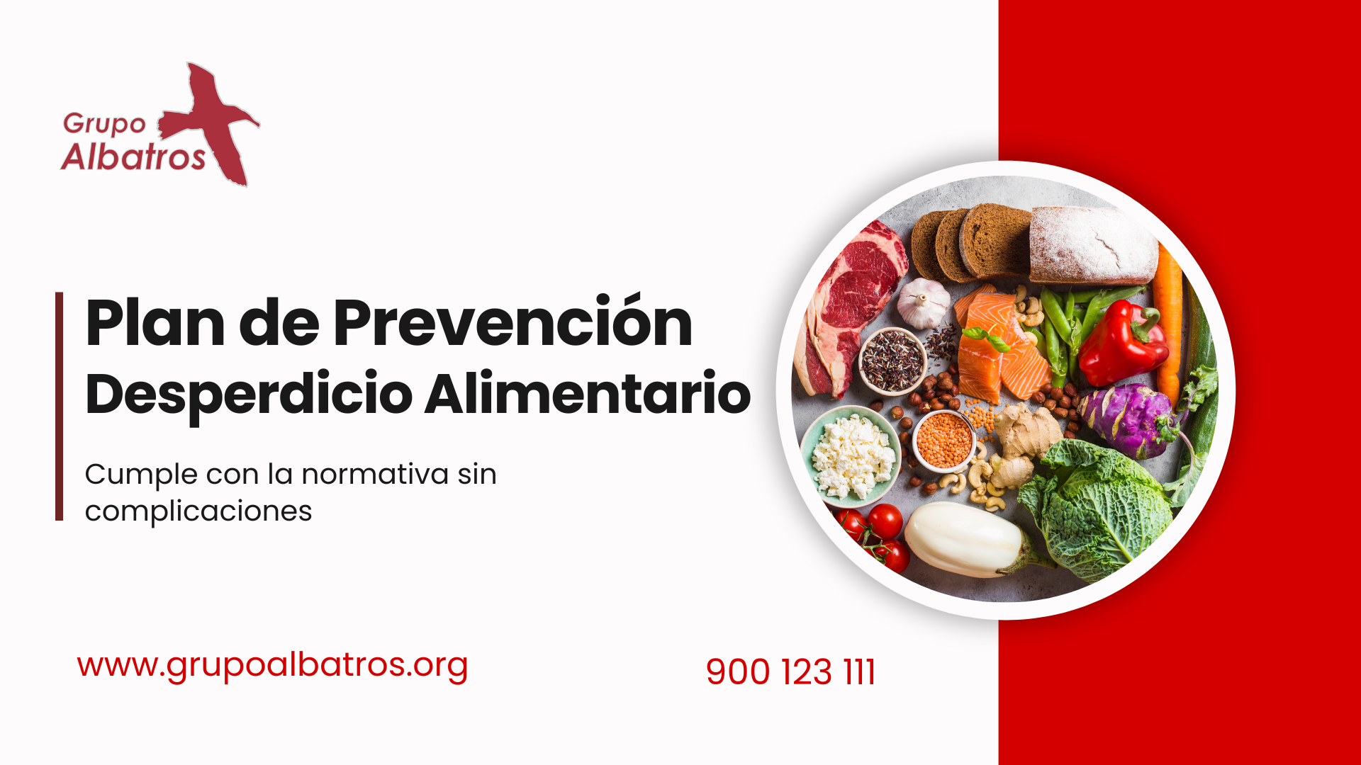 Woman Sharing Her Presentation with her Colleagues